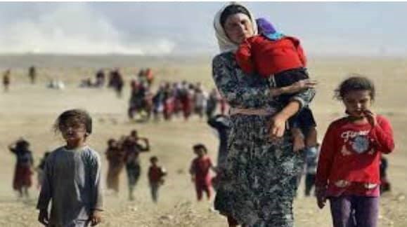 Folkmord mot Yezidi-kurder på allvar!